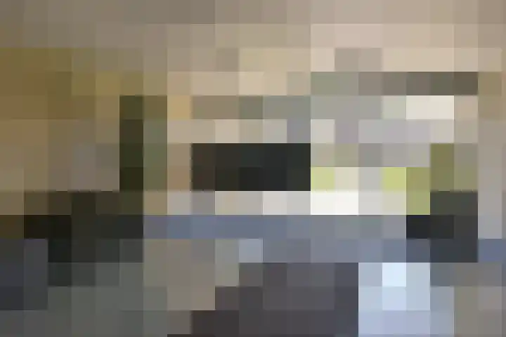 De Streektuinen 118 Hoorn thumbnail 27