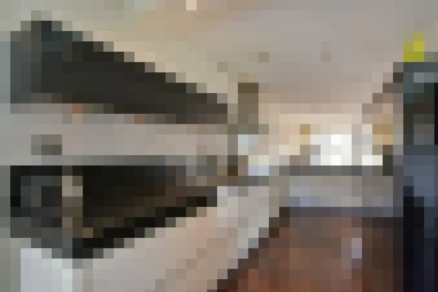 De Streektuinen 120 Hoorn thumbnail 17