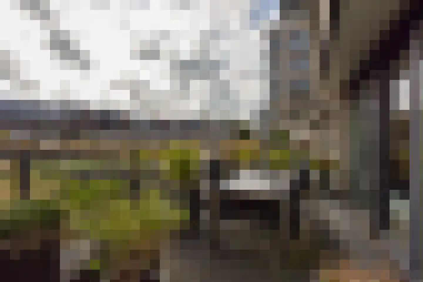 De Streektuinen 120 Hoorn thumbnail 26