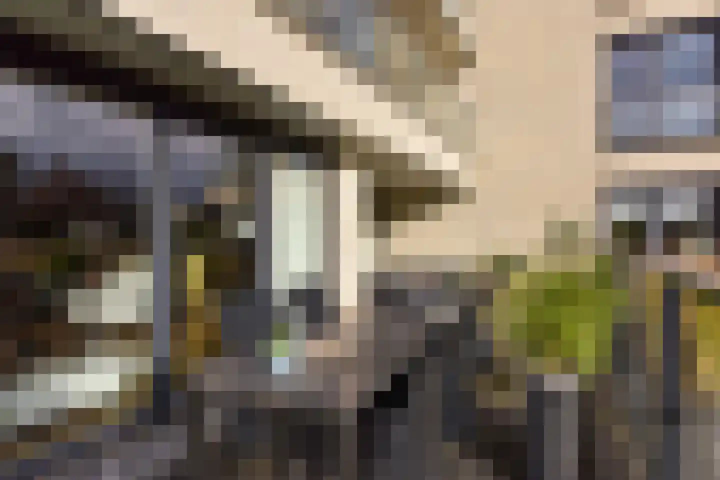 De Streektuinen 120 Hoorn thumbnail 27