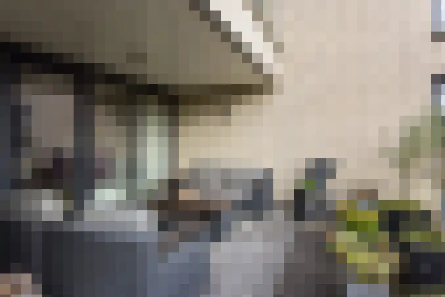 De Streektuinen 120 Hoorn thumbnail 28