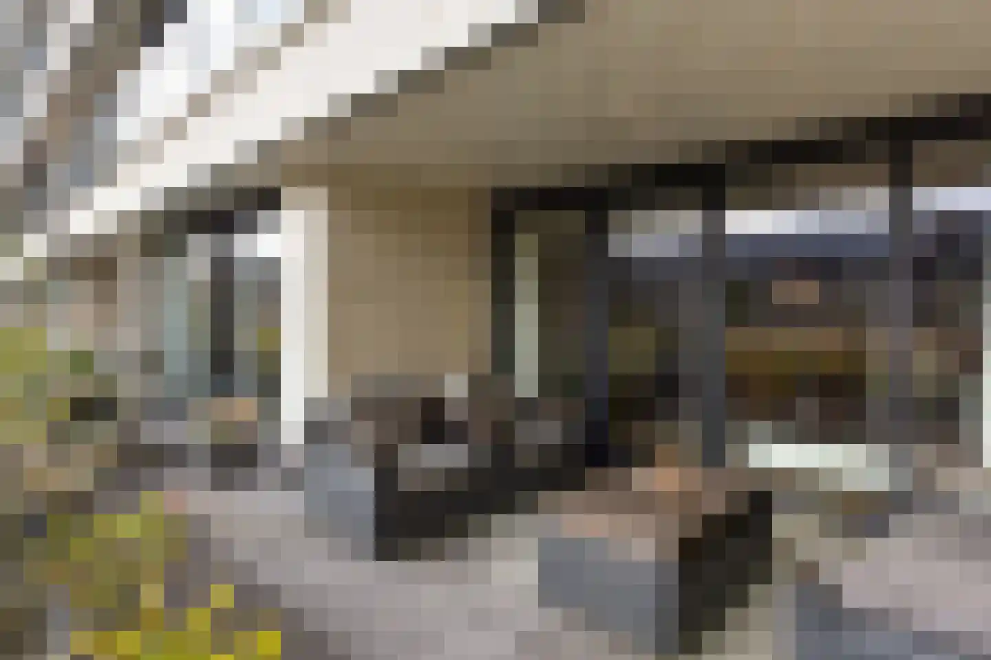 De Streektuinen 120 Hoorn thumbnail 29