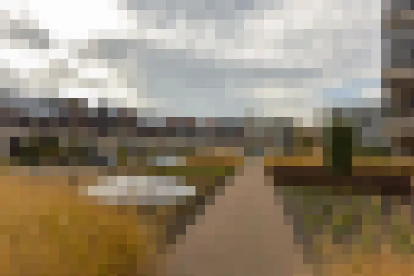De Streektuinen 120 Hoorn thumbnail 31