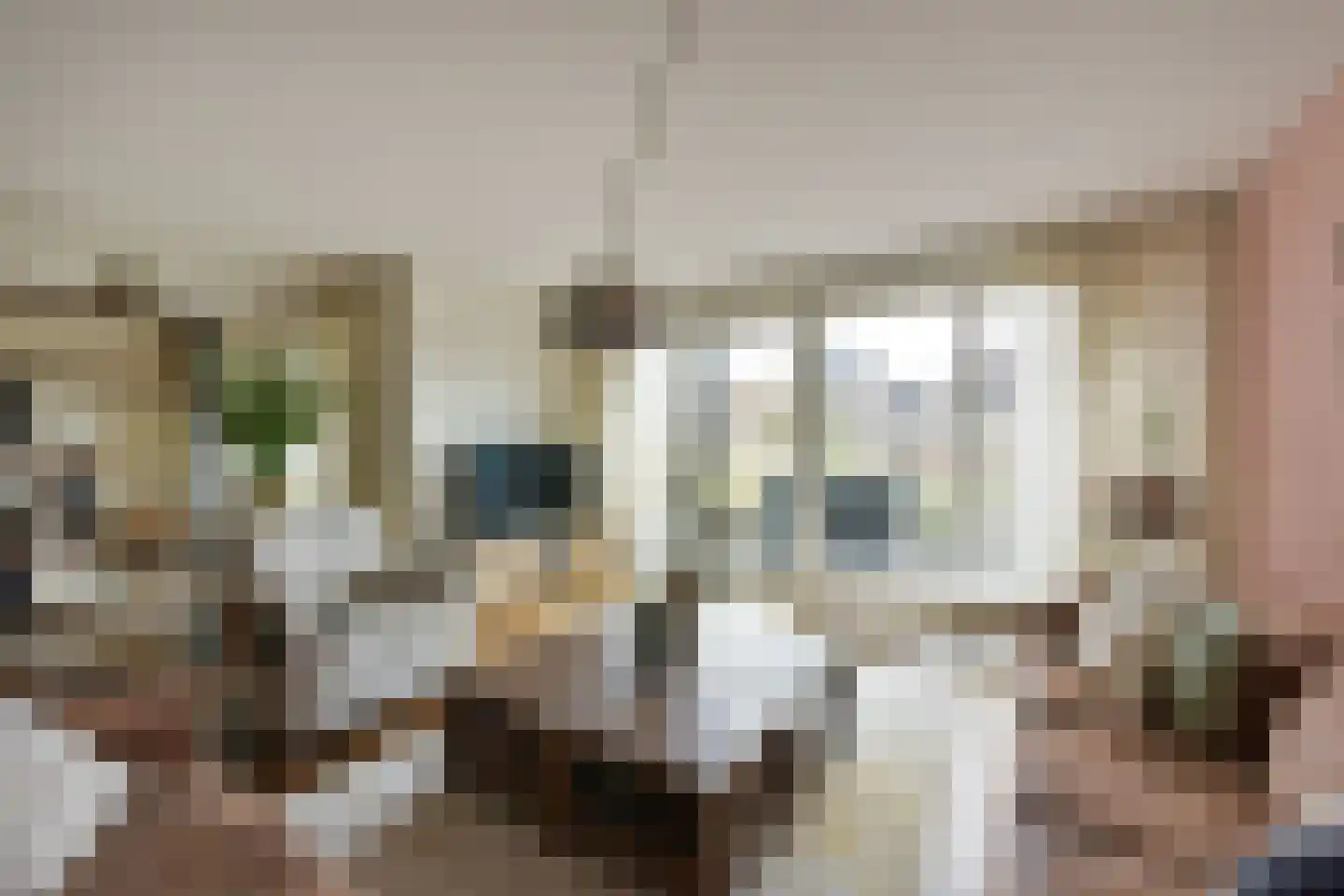 De Streektuinen 120 Hoorn thumbnail 5