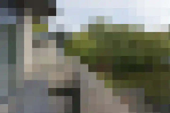 De Streektuinen 175 Hoorn thumbnail 26