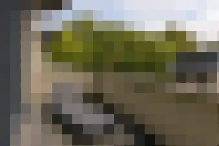 De Streektuinen 175 Hoorn thumbnail 27