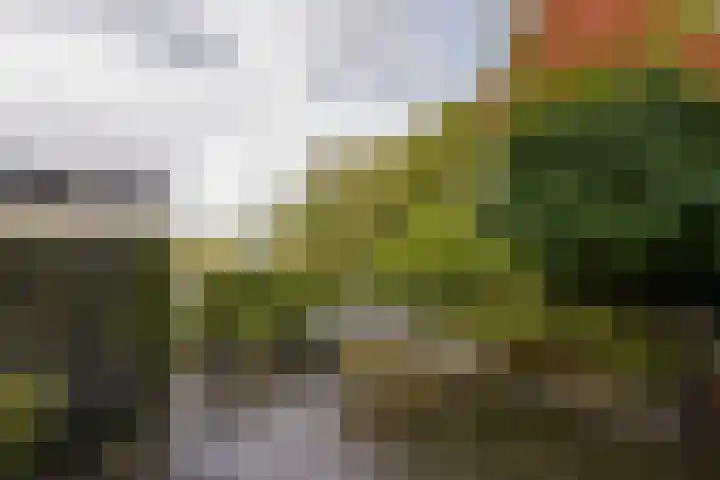 De Streektuinen 175 Hoorn thumbnail 28