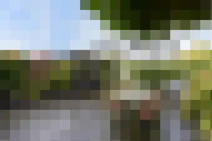 De Streektuinen 175 Hoorn thumbnail 29