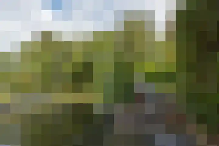 De Streektuinen 175 Hoorn thumbnail 31