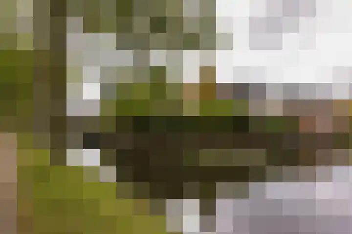 De Streektuinen 175 Hoorn thumbnail 34