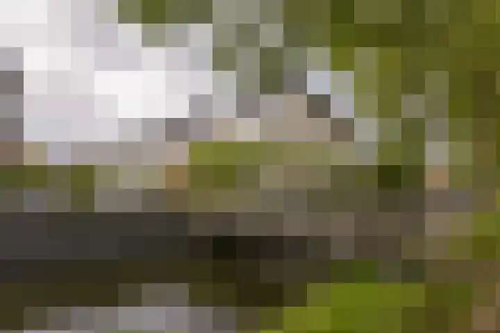 De Streektuinen 175 Hoorn thumbnail 36