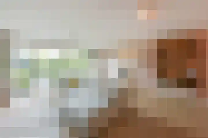 De Streektuinen 175 Hoorn thumbnail 4
