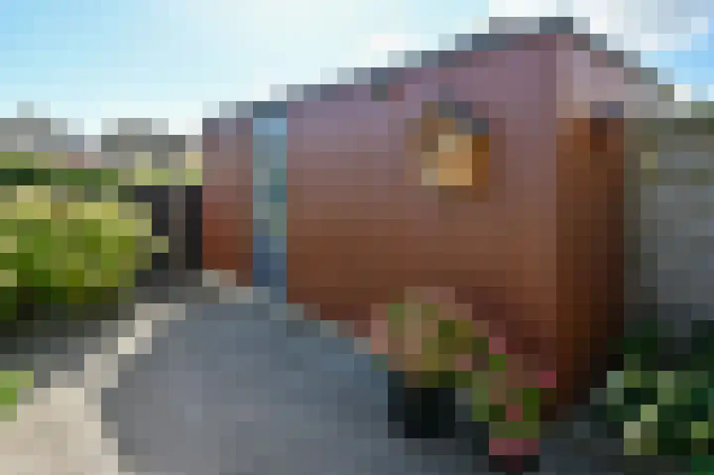 De Streektuinen 35 Hoorn thumbnail 22
