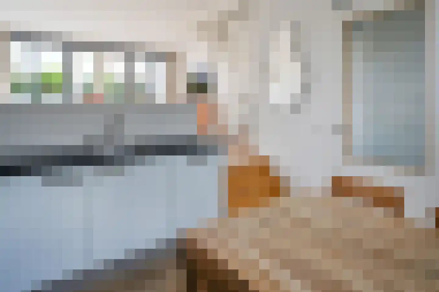 De Streektuinen 35 Hoorn thumbnail 9