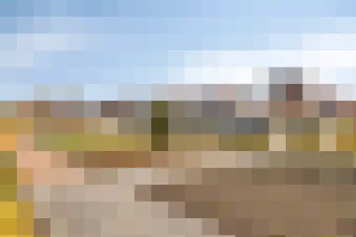 De Streektuinen 61 Hoorn thumbnail 33