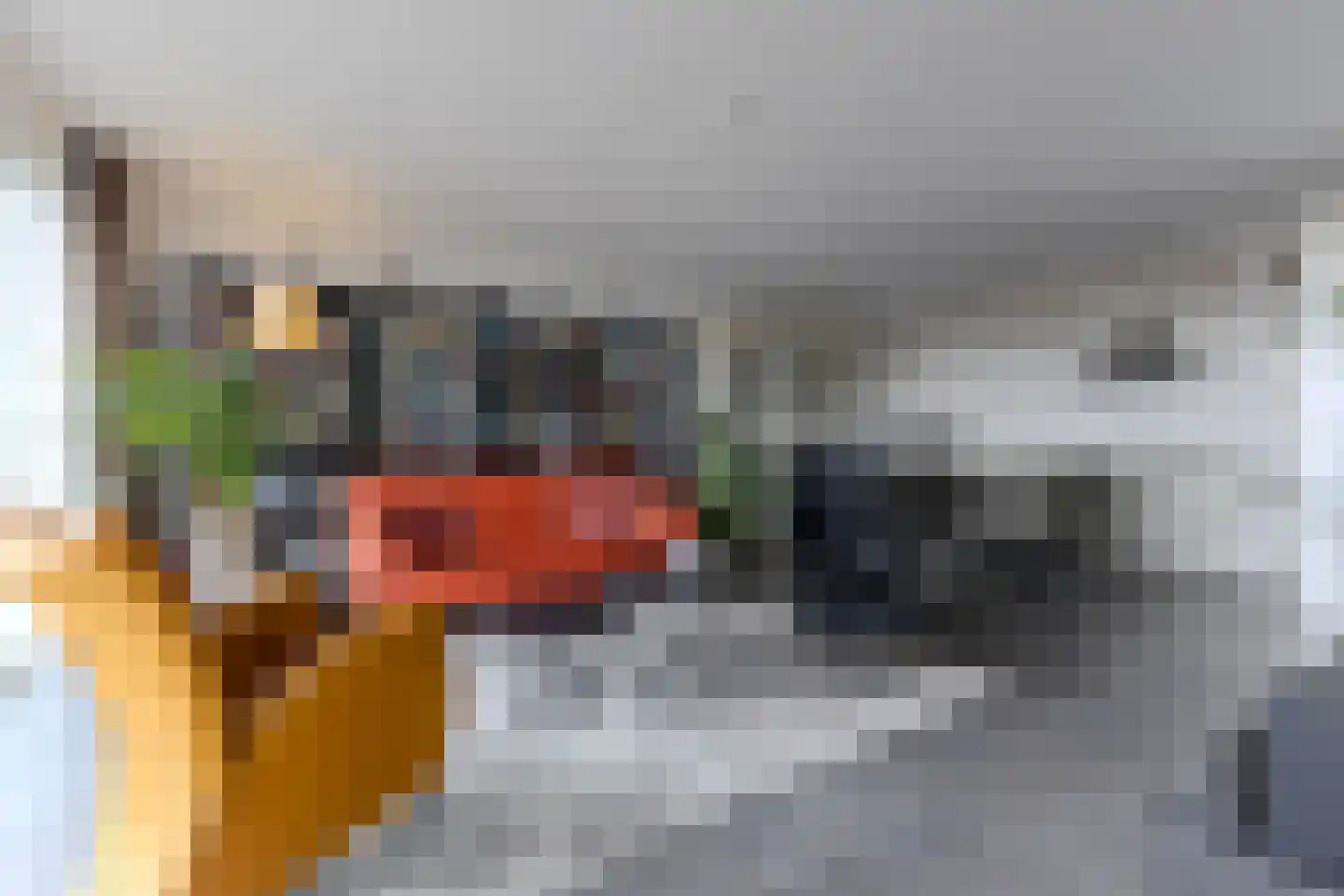 De Streektuinen 84 Hoorn thumbnail 12