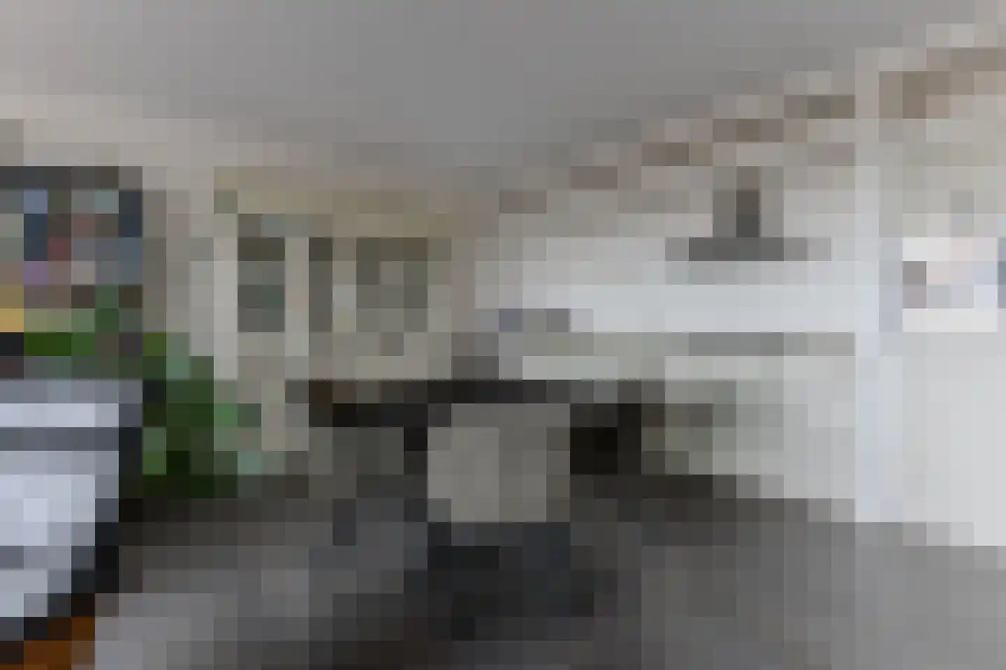 De Streektuinen 84 Hoorn thumbnail 13