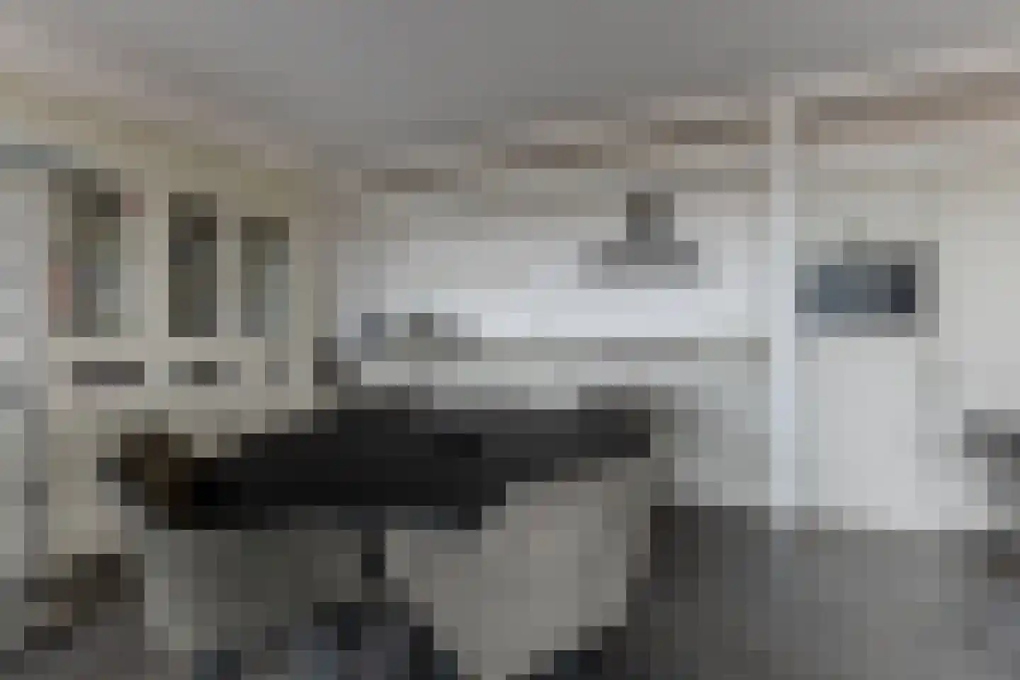 De Streektuinen 84 Hoorn thumbnail 14