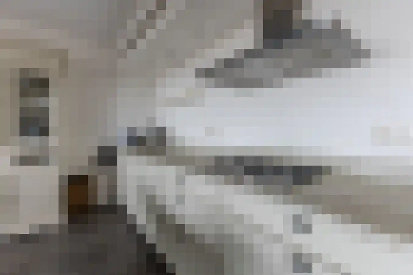 De Streektuinen 84 Hoorn thumbnail 15