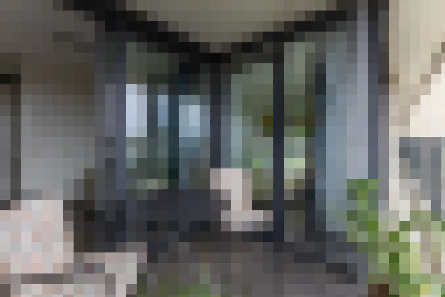De Streektuinen 84 Hoorn thumbnail 18