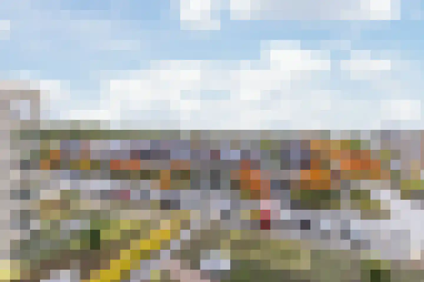 De Streektuinen 84 Hoorn thumbnail 20