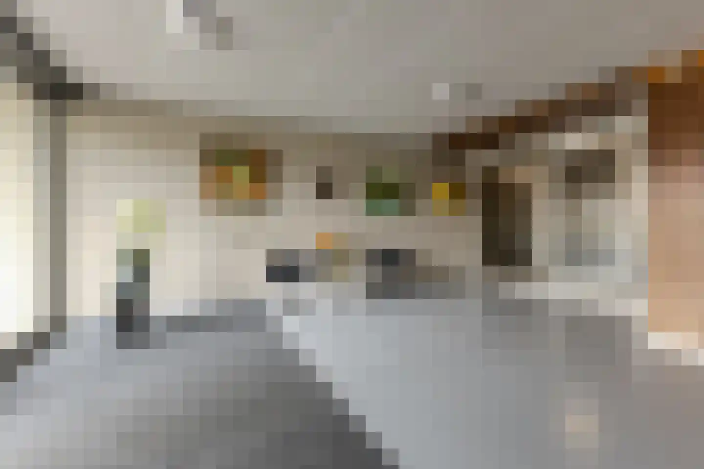 De Streektuinen 84 Hoorn thumbnail 4