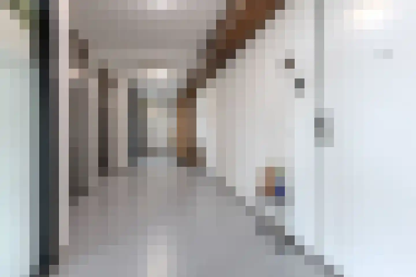 De Streektuinen 84 Hoorn thumbnail 6