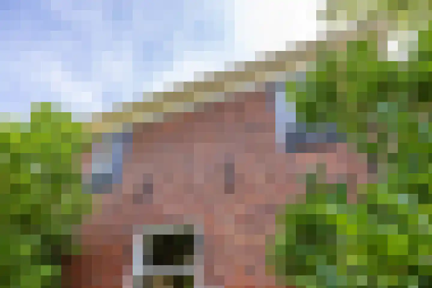 De Streekweg 105 Den Andel thumbnail 7