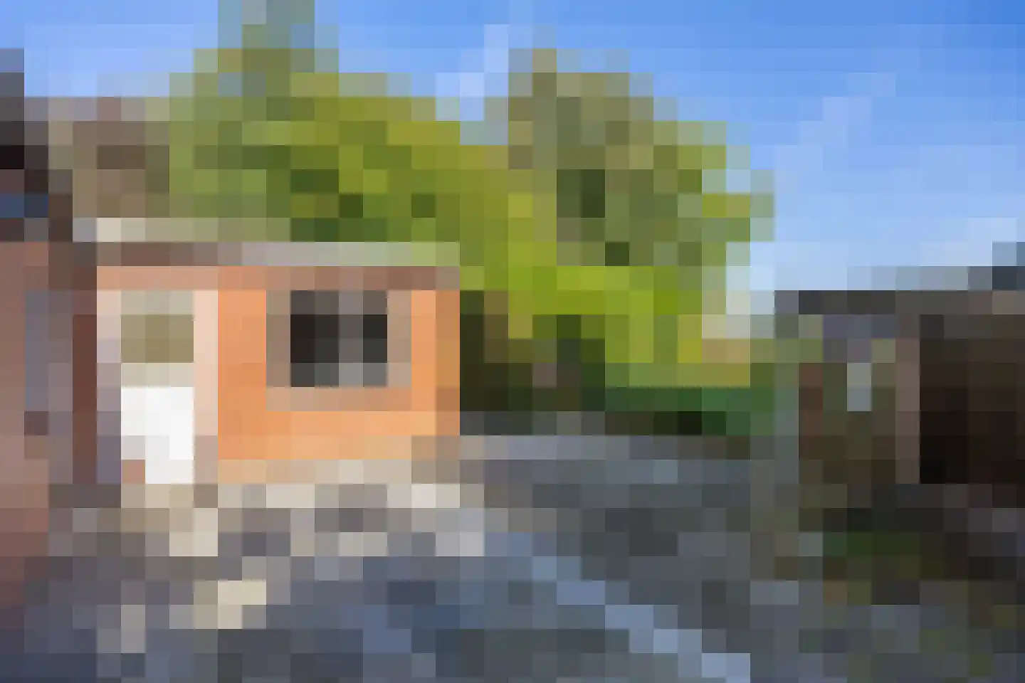 De Streekweg 71 Den Andel thumbnail 28