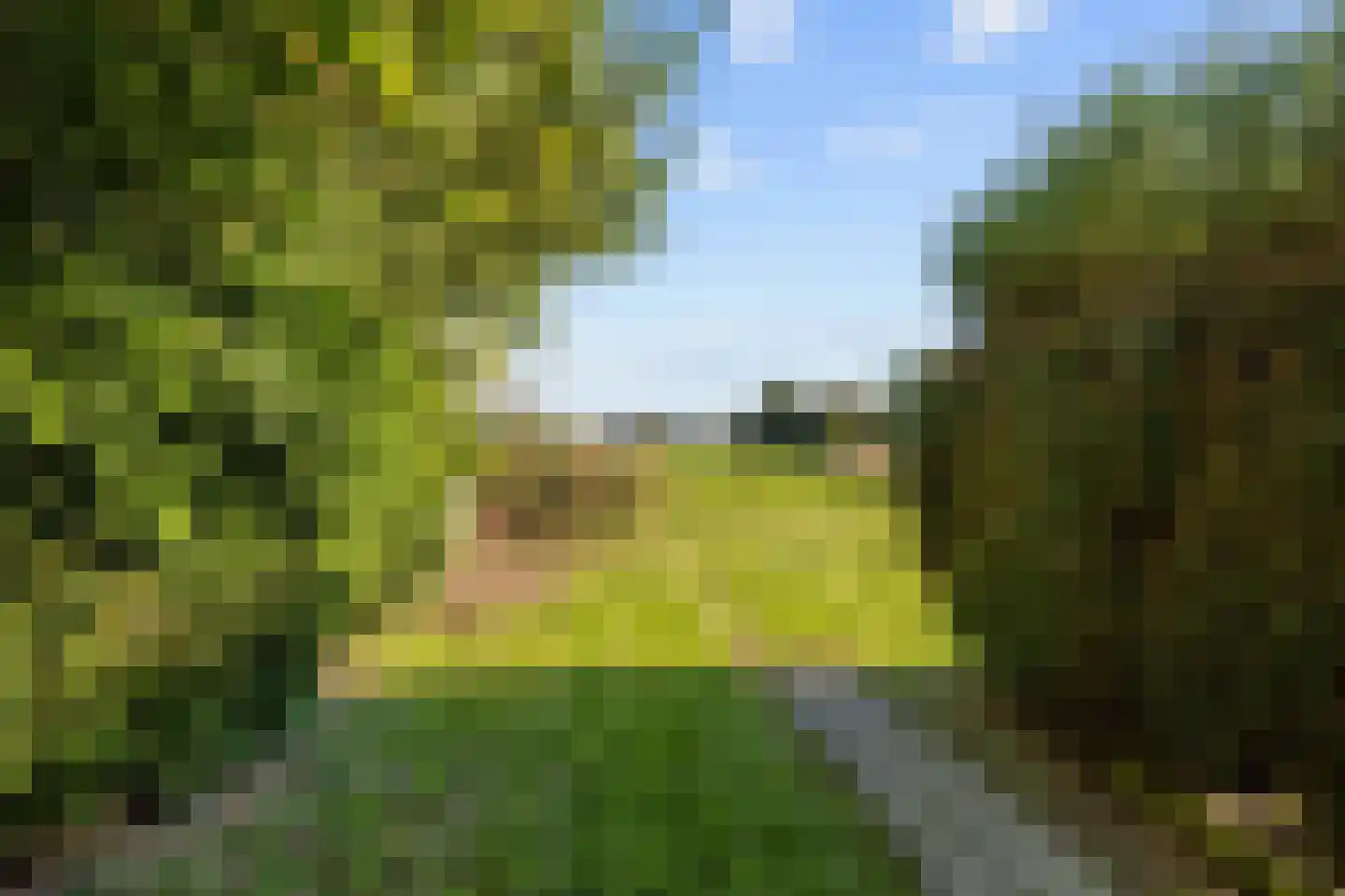 De Streekweg 71 Den Andel thumbnail 30