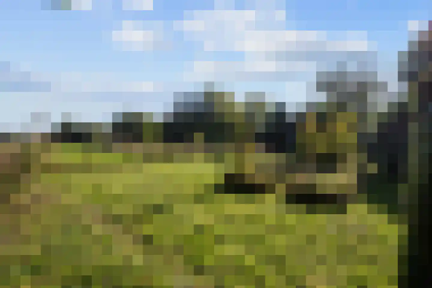 De Streekweg 71 Den Andel thumbnail 31