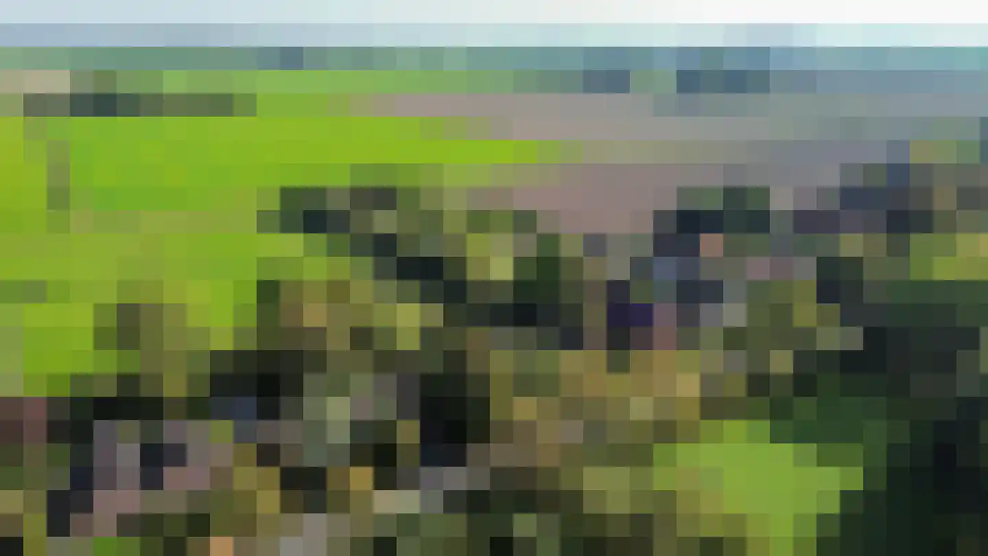De Streekweg 71 Den Andel thumbnail 34