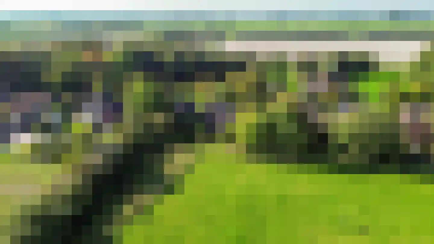 De Streekweg 71 Den Andel thumbnail 4