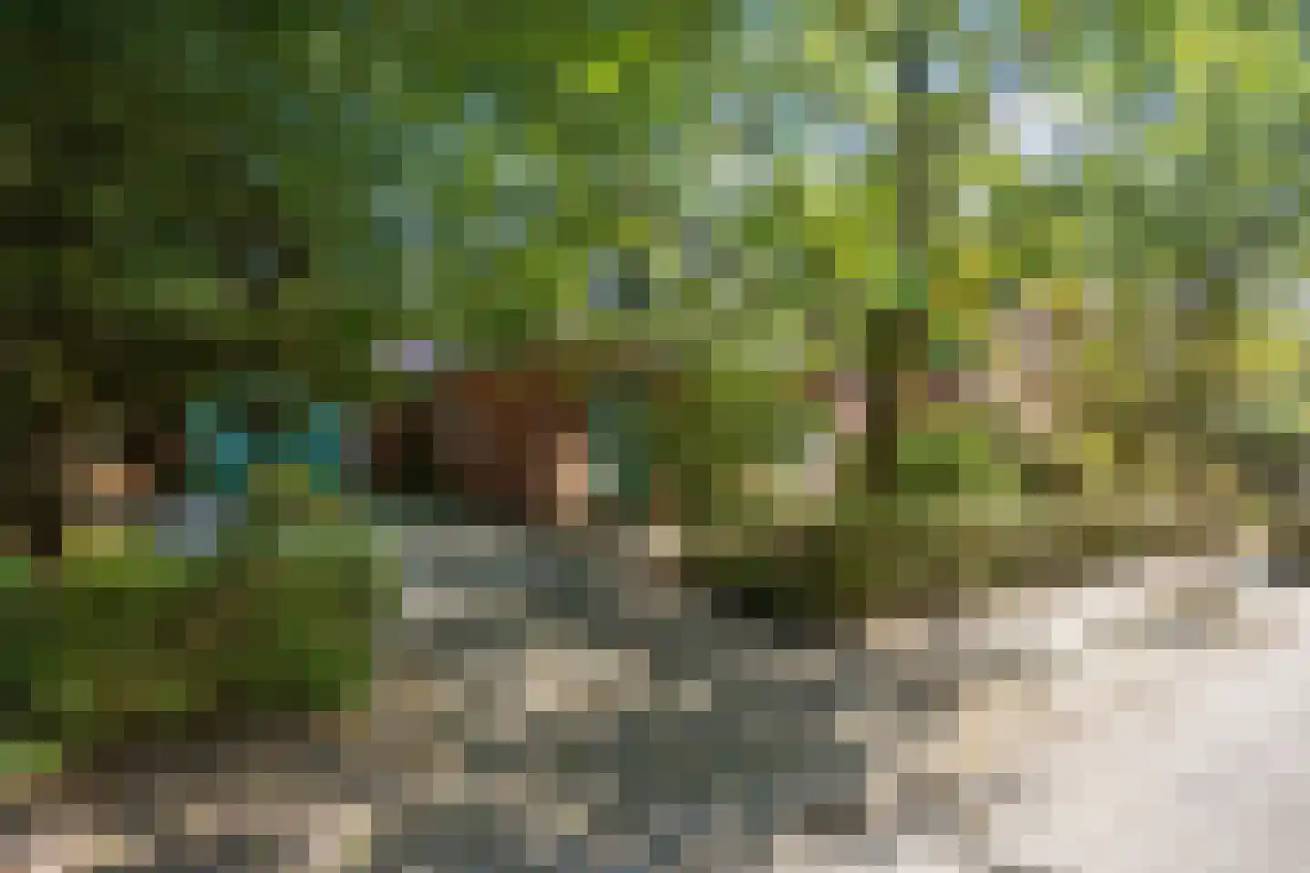 De Streekweg 71 Den Andel thumbnail 5
