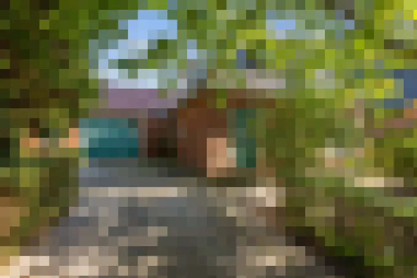 De Streekweg 71 Den Andel thumbnail 7