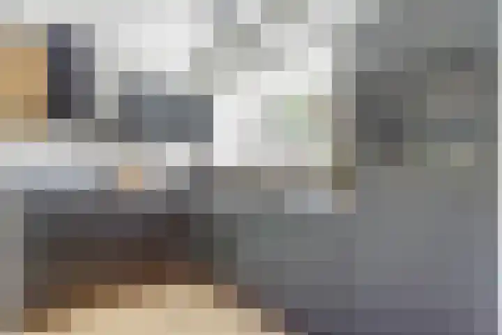 De Streep 14 Assendelft thumbnail 10