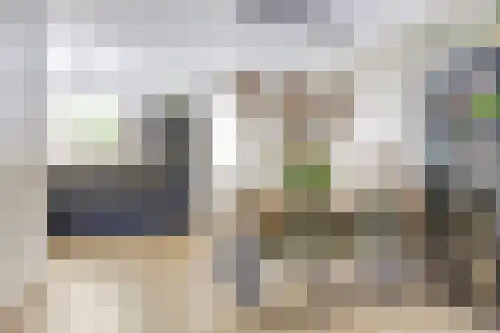 De Streep 14 Assendelft thumbnail 11