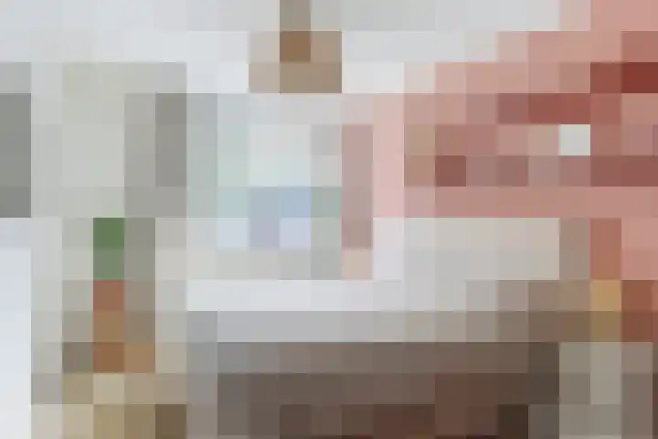 De Streep 14 Assendelft thumbnail 14
