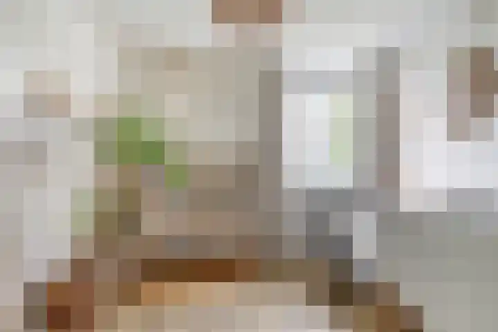 De Streep 14 Assendelft thumbnail 16