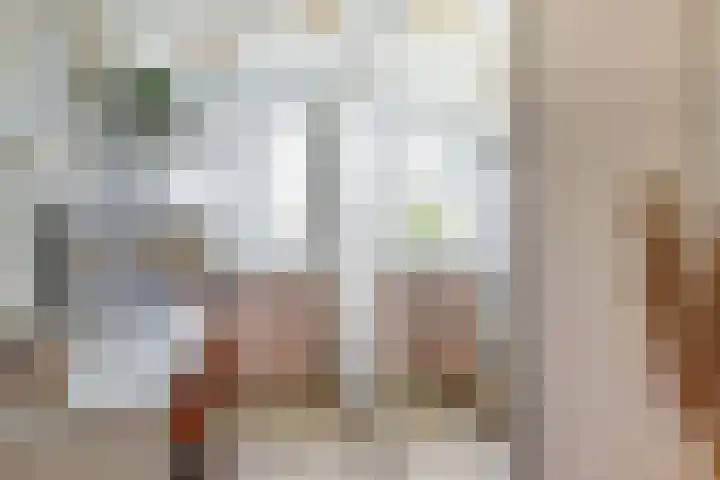 De Streep 14 Assendelft thumbnail 18