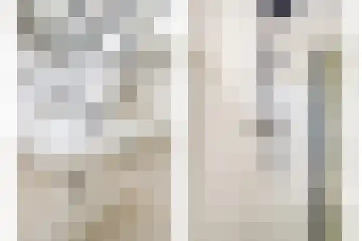 De Streep 14 Assendelft thumbnail 21