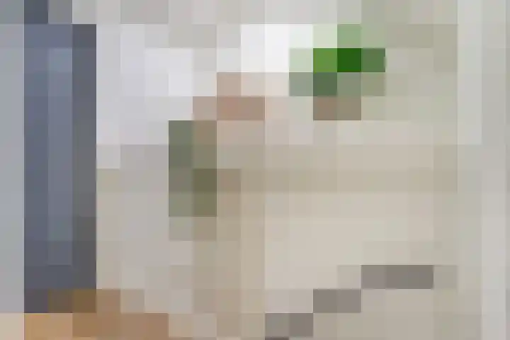 De Streep 14 Assendelft thumbnail 24
