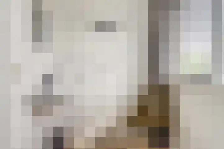 De Streep 14 Assendelft thumbnail 26