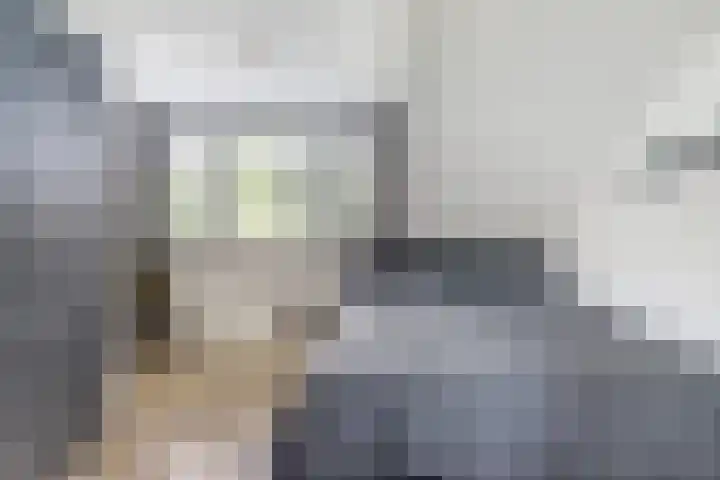 De Streep 14 Assendelft thumbnail 27