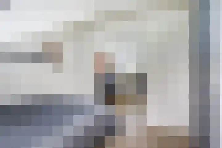 De Streep 14 Assendelft thumbnail 28