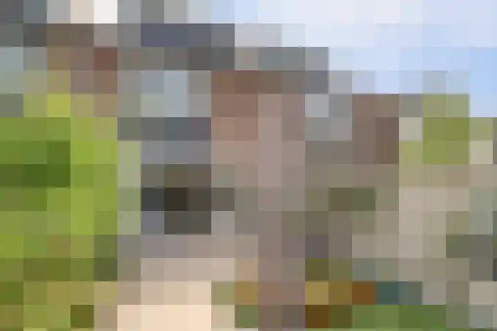 De Streep 14 Assendelft thumbnail 34
