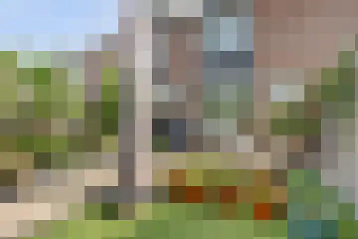 De Streep 14 Assendelft thumbnail 35