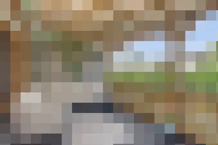 De Streep 14 Assendelft thumbnail 37