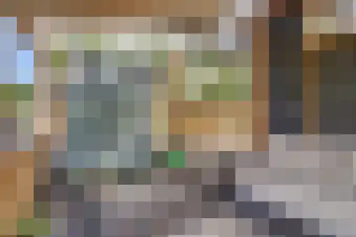 De Streep 14 Assendelft thumbnail 38