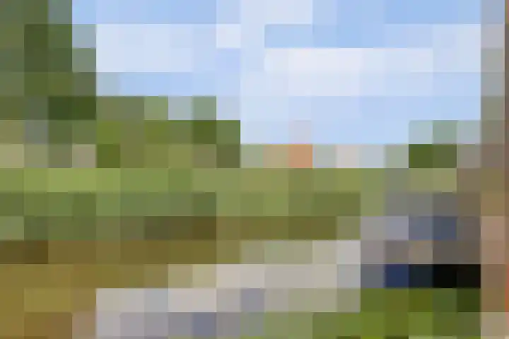De Streep 14 Assendelft thumbnail 39